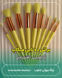 براش میکاپ پک ده تایی