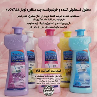 کف شوی لویال و خوشبوکننده لباس و انواع سطوح محصول کشور اردن 700 میل