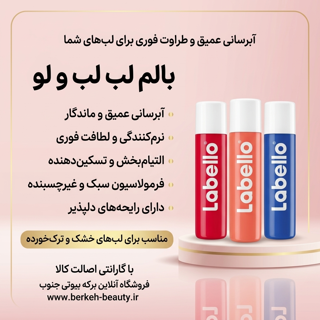بالم لب