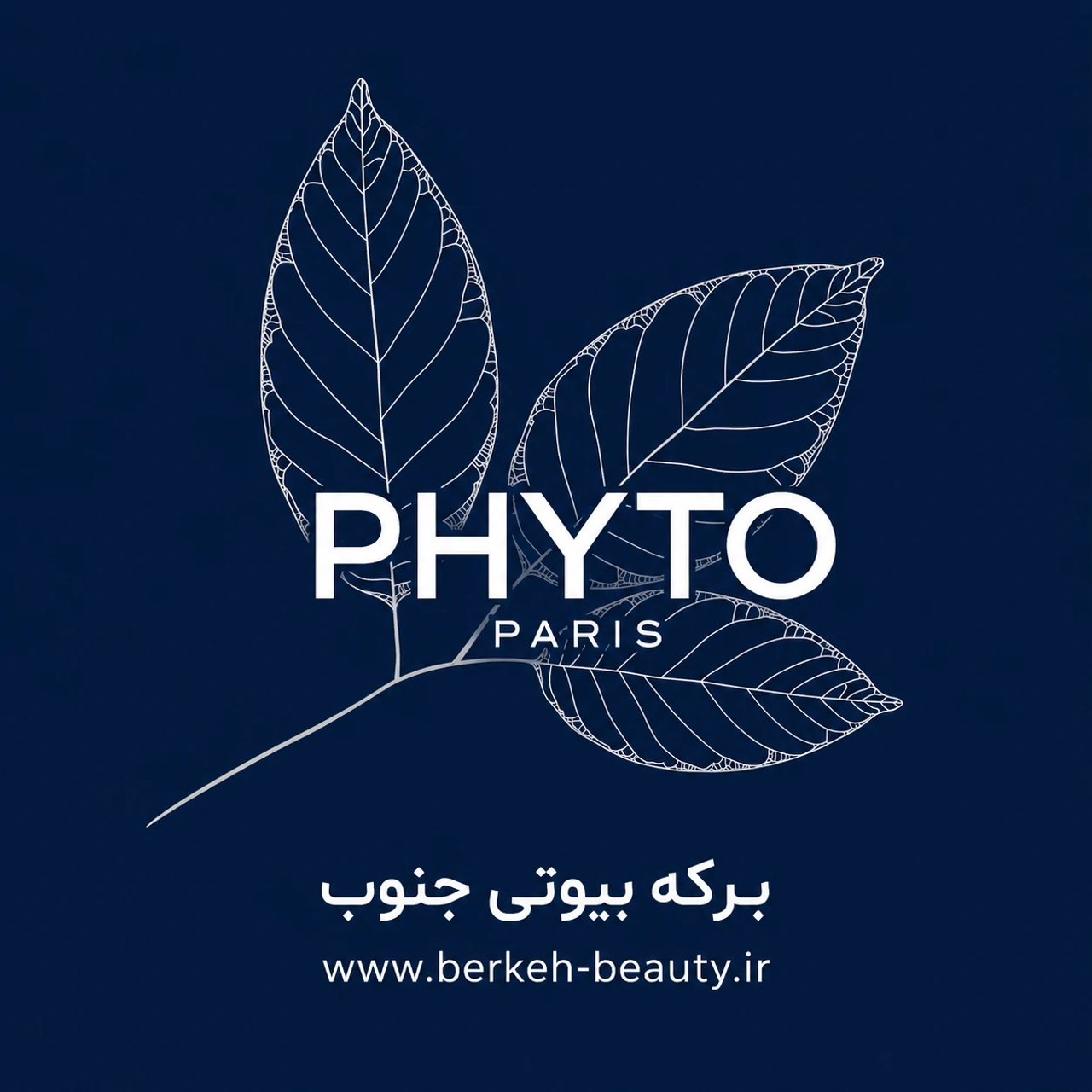 معرفی برند فیتو